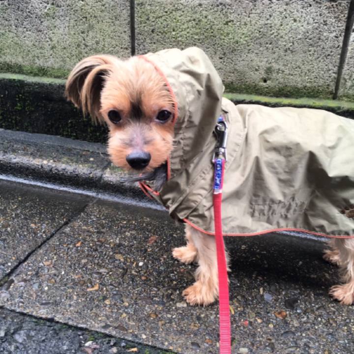 24662766 cb29 408d bbf4 7757300fc7f4