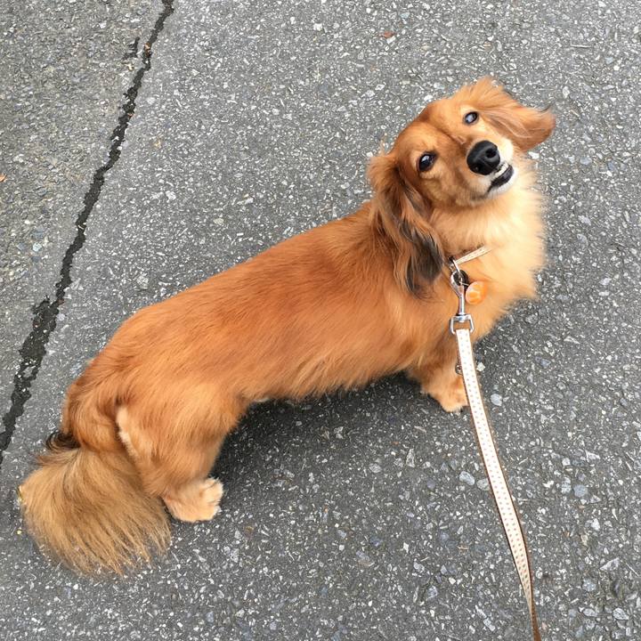 2466e1ce c0cf 494a a2bf ada7d19201a0