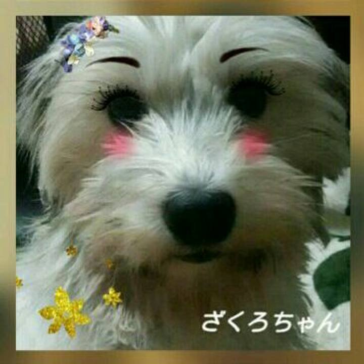 246733b5 39fd 4877 b3bb 59ed1697235a