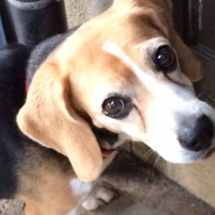 2467fe7f f3ba 4df9 a663 2a37da368d1b