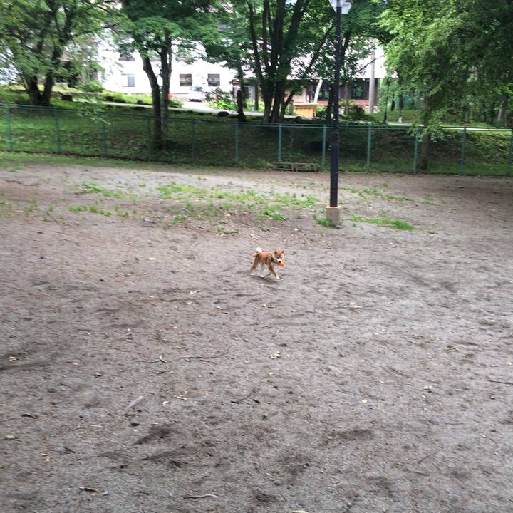 2468a5ee 1290 4fd9 b1a2 aa20ff13ae11