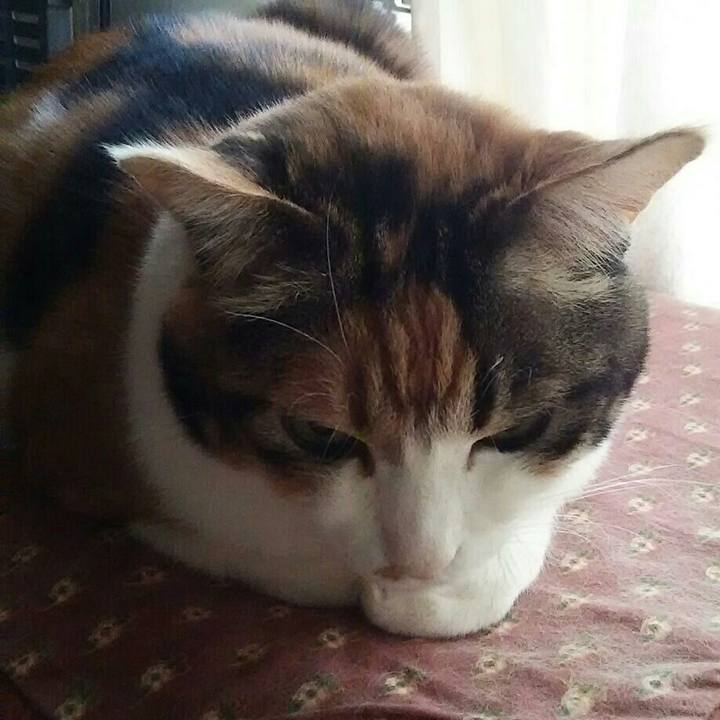 24690489 d9fa 4876 bbd1 a0a962388024