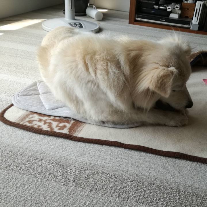 246a2b23 9de4 4211 b534 8d1403921b89