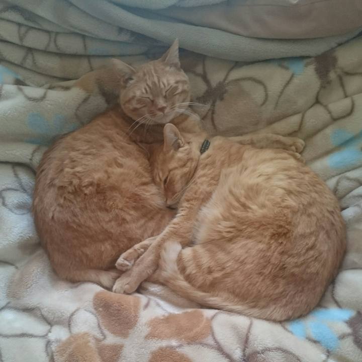 246a531d 4f29 4d35 a146 59f09c2c4abb