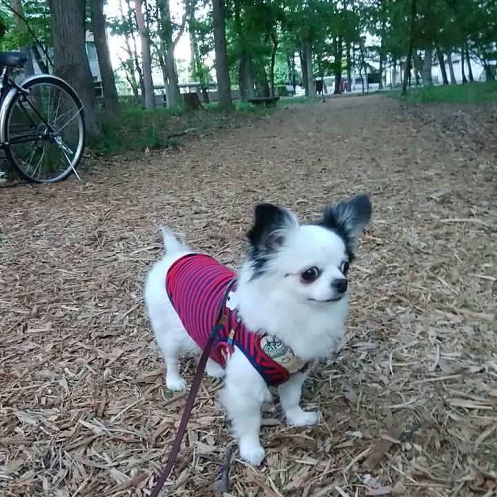 246a801f c63f 4300 9e93 9a6ec1a7046d