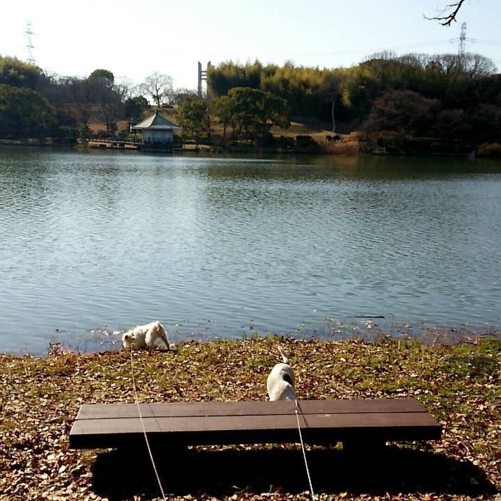 246bd16d 4224 4a6c 8035 e523e57c18fc