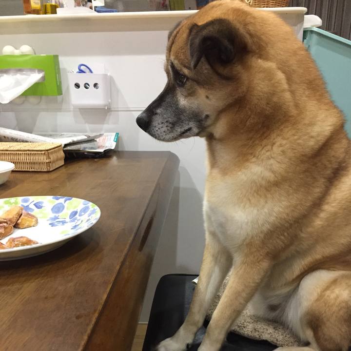 246c435f 0f26 4c95 a17f 5db033173463