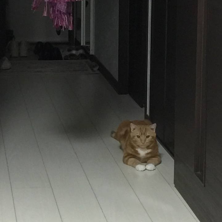 246c5554 6510 4212 b1c8 bf68f9d456fb