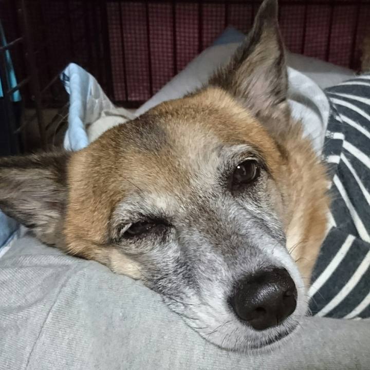 246c5cc2 ecfa 4dce 97b8 c964df6b6601