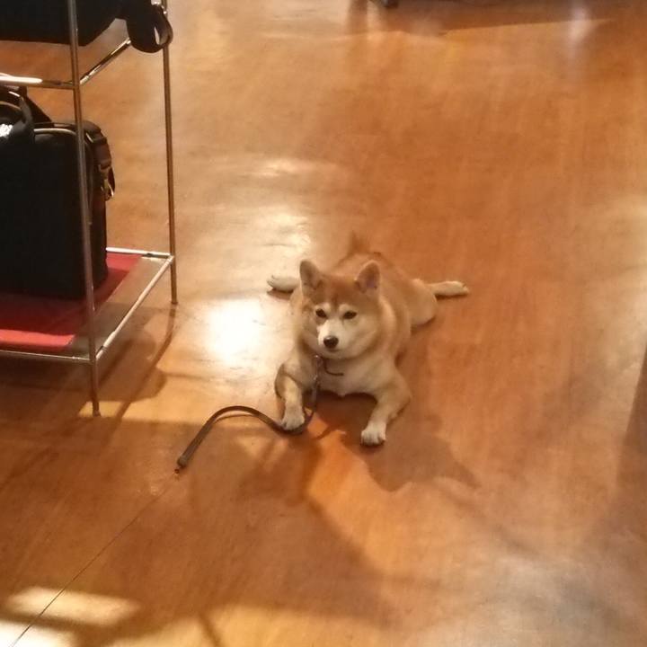 246c89e5 f28a 463d be82 f43ee05dba8c