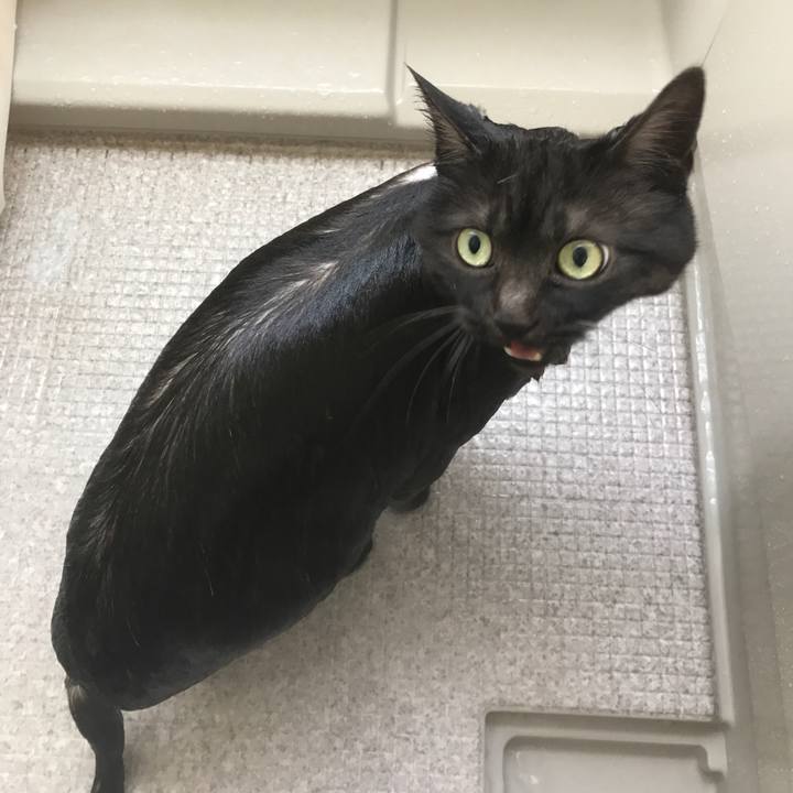 246cc59d 6ac9 4a6e aeb0 1b4bbbe52140