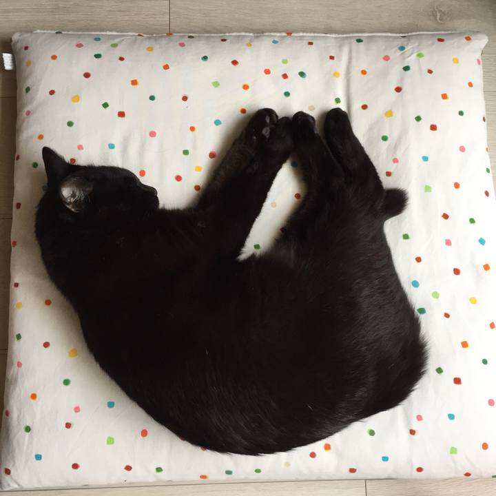 246cc7e0 c9ea 4111 b8ce 5a3483e1ac6a