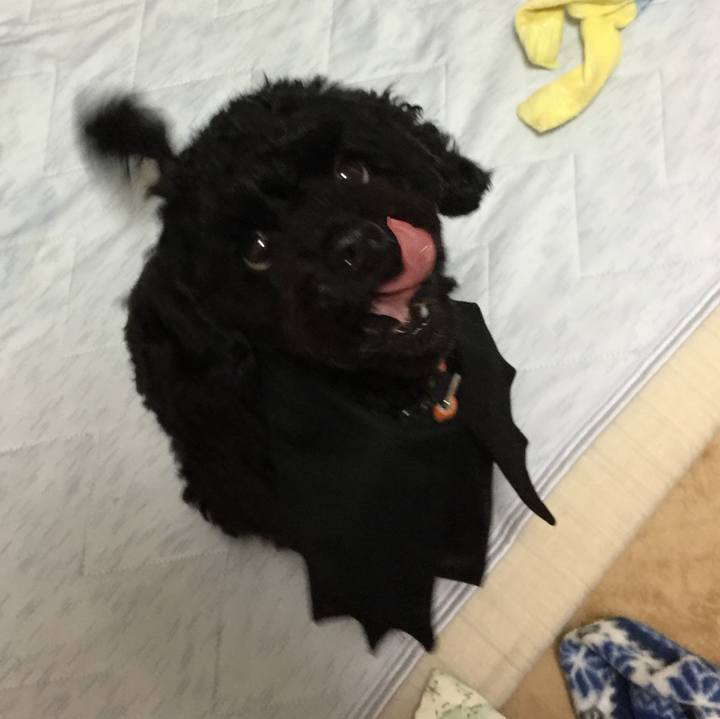 246d6ae9 da77 4919 8434 4cb798aec44c