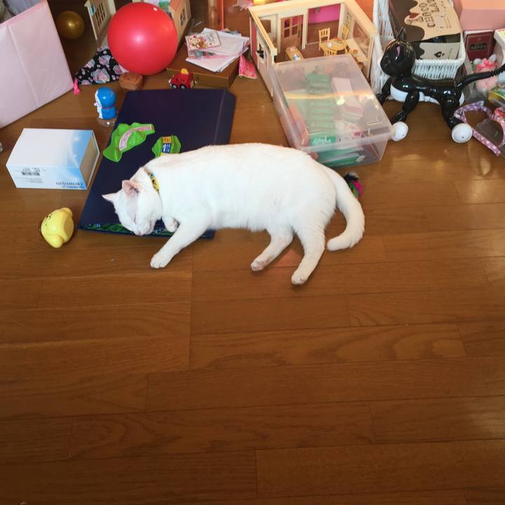 246d6db7 faa8 4f7a bfa4 ed6897d7e7f4