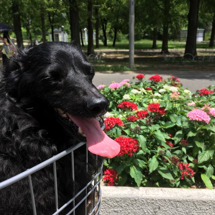 246dbcfe 4604 41d9 8188 4e6d6ad95d20