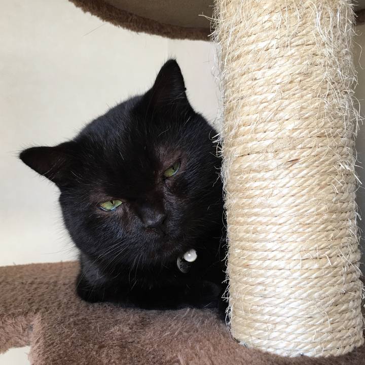 246e76bd dbbd 4b6b 96a1 56950634066b