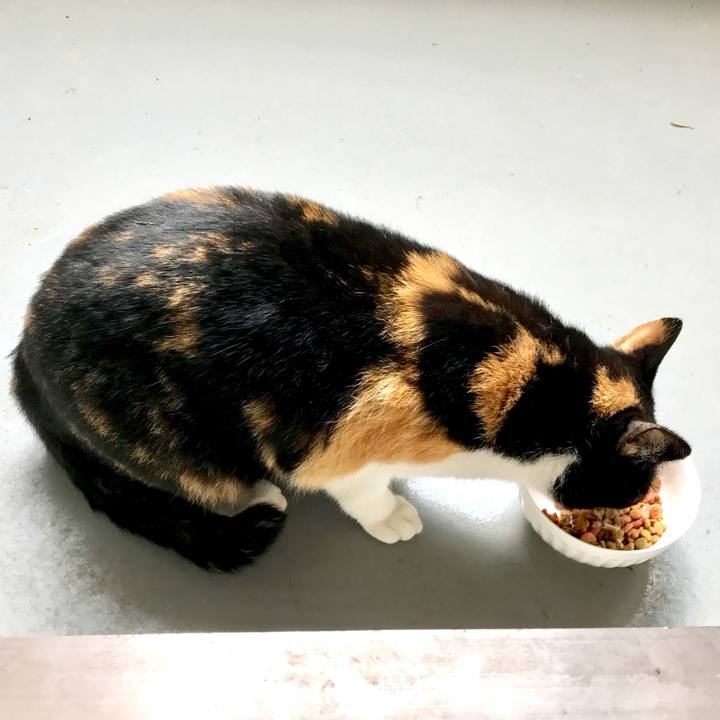 246e832e bb48 4736 9c8b f7b992e8d1d6