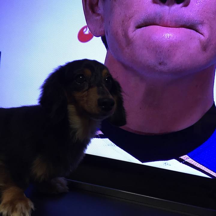 246f9ab1 f5e7 4e2c 9ca8 89d50378b8e6