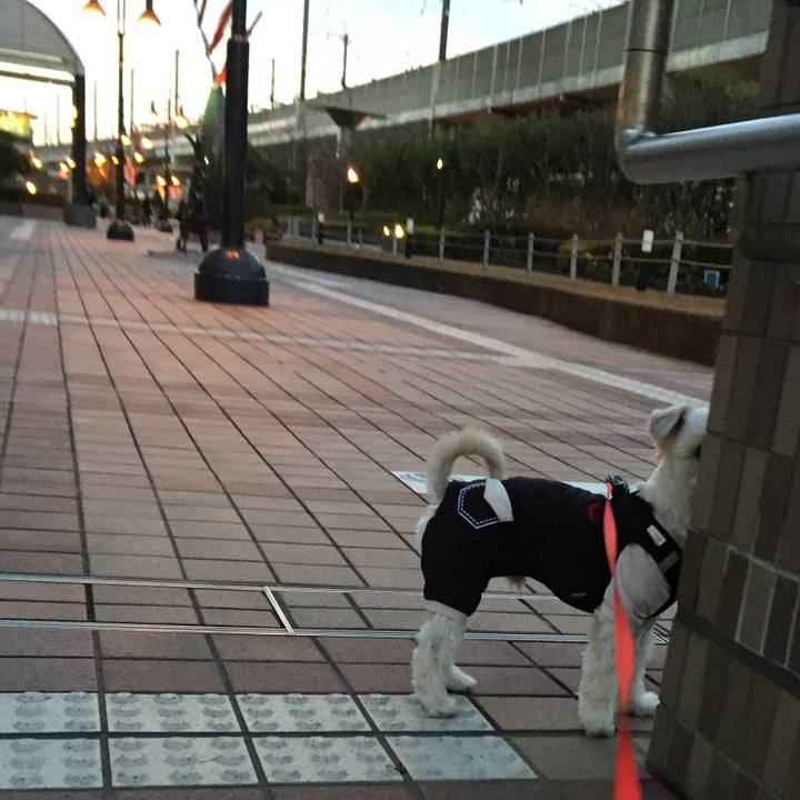 246fbd28 cfbb 4e7e 82c8 6a6f7db0927f