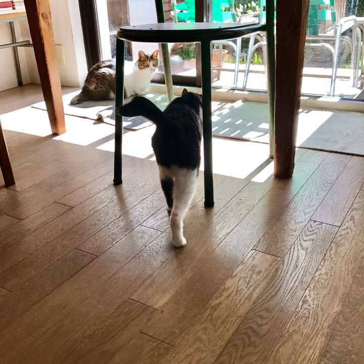 246fbfd1 e7ed 4eb2 b0f8 1814886c6a34