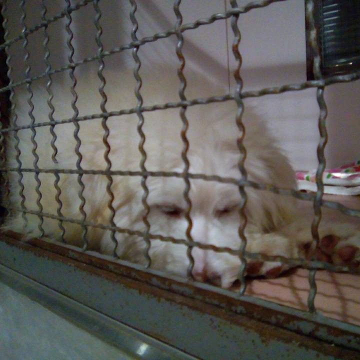 246fea5b 640a 4161 b4b0 171b109a2e70