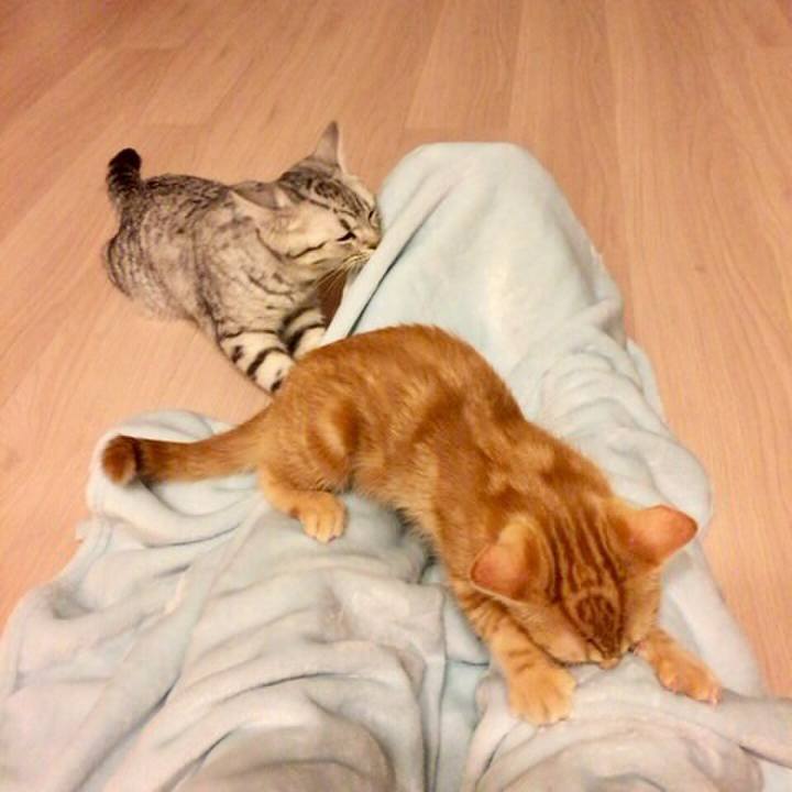 246ff7f9 4cc9 4bfc b1e9 b97f2b29fe08