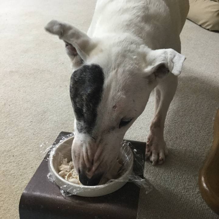 247075b3 729d 4311 96b7 f402cc320ce9