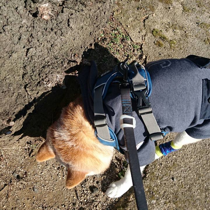 2470b819 27d6 496a a9fc 8aab399f947a