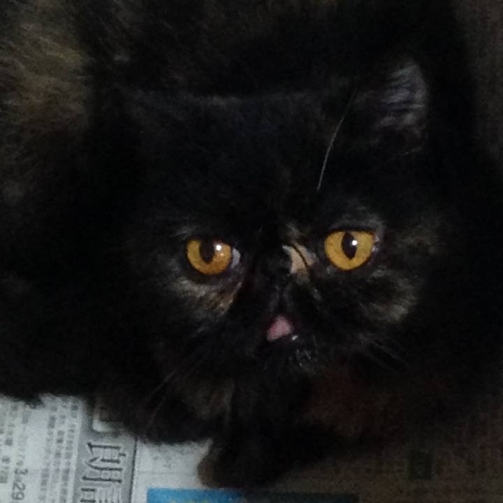 24711d14 0ccf 4c49 91bb 7b7b6dfe930b