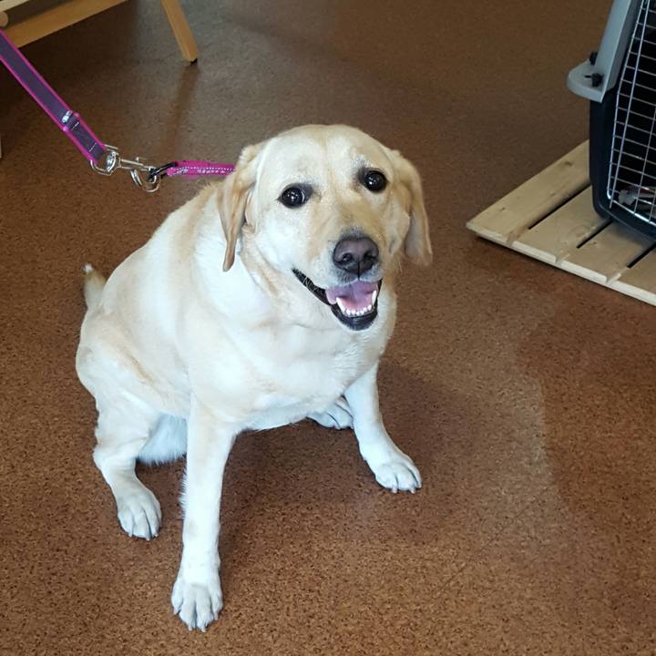 24716486 5665 4cc6 8193 410560dd6b85