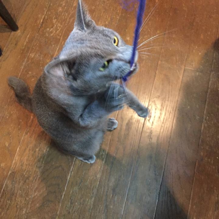 24719794 ad6f 4294 91ac 26c25cc66fef