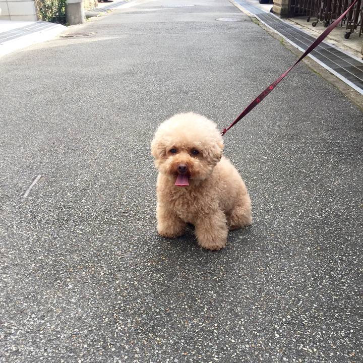 2471a34d 65b7 43ee 8975 3873fe14038c