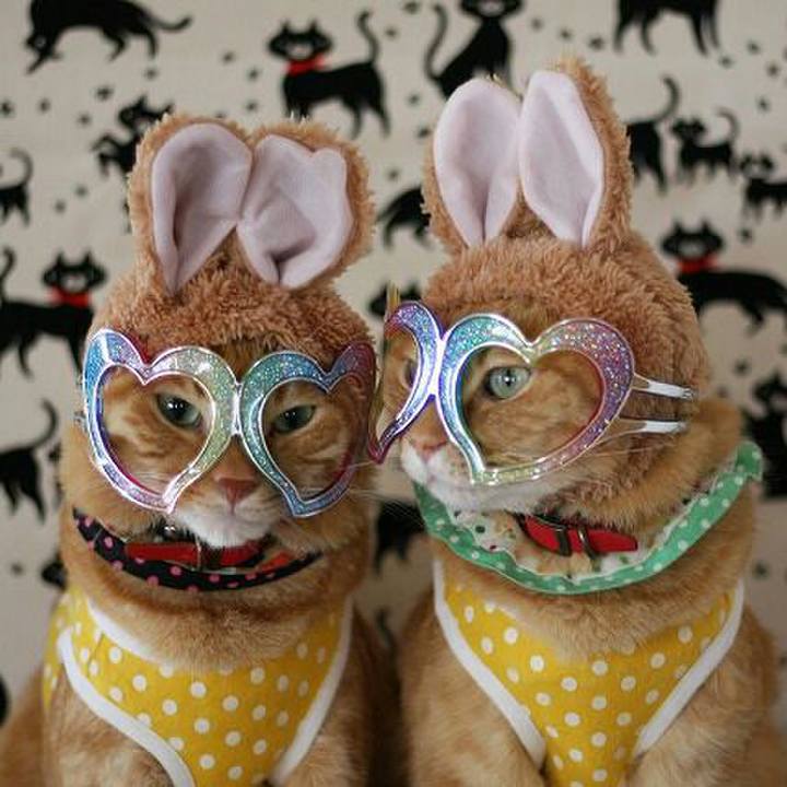 2471b597 3d7d 4502 9846 fb8f57a2a223