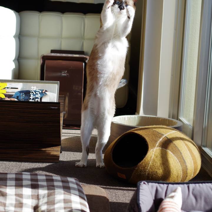 24722b90 cb33 4e72 99a7 7a0273844f18