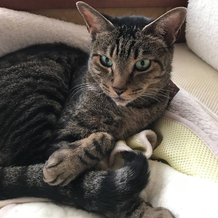 24747c76 ade3 4083 b0f5 11d3763b9370