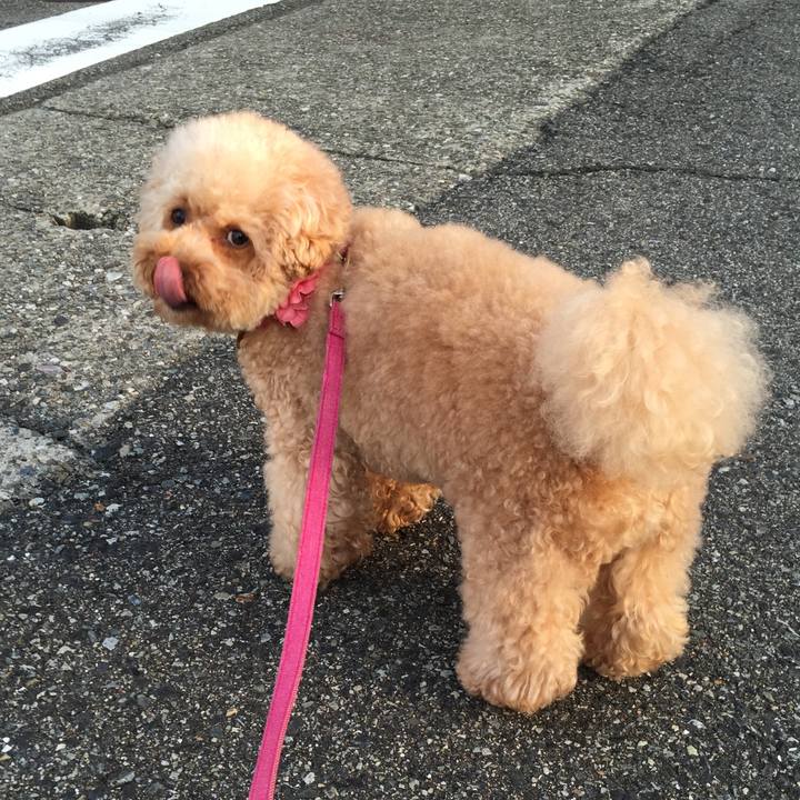 2475113e c013 445c bdf1 35b4b59b5f2a