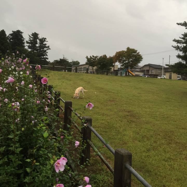 24758ed3 d3ed 41c4 9b8a 7e340dee9f5c