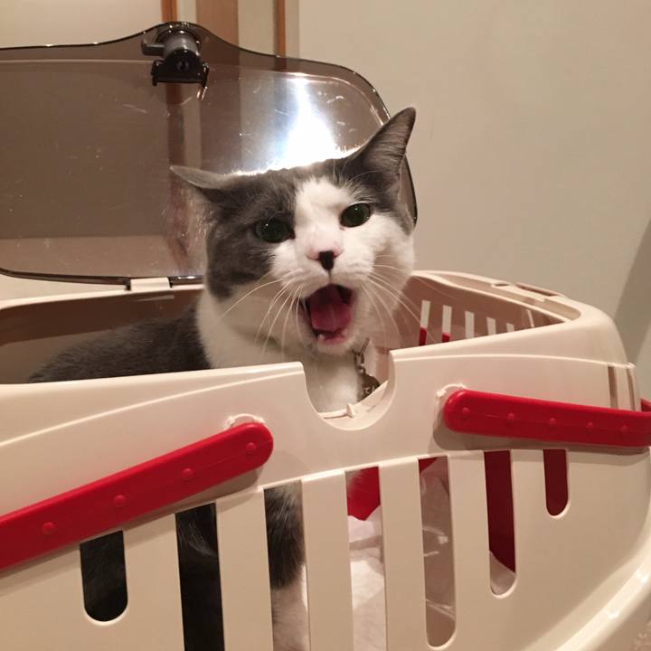 247592bc a79b 4e37 9787 85255157778e