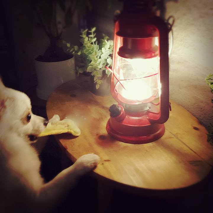 247632b2 f4e7 4853 8ef6 3b14bee1a275