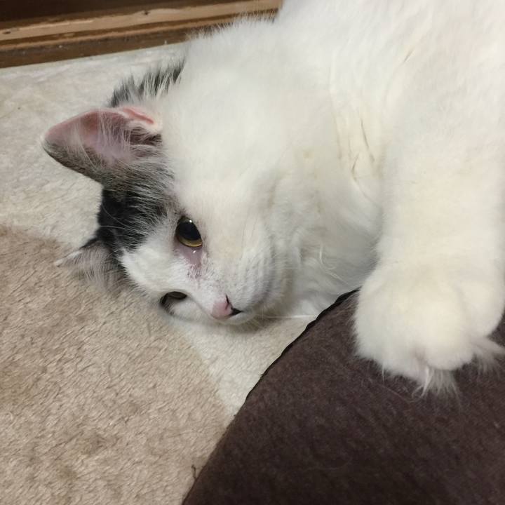 2476e56c 1618 4562 8031 386ac2ded2f9