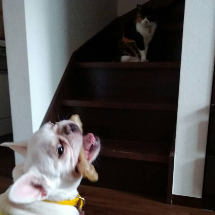 24779fa7 6d69 4c0f b5d6 a87572a9a7ad