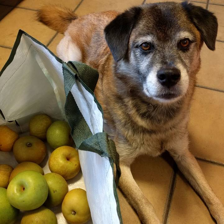 2477fda6 e3bc 4cb8 a7f4 11de70977da5