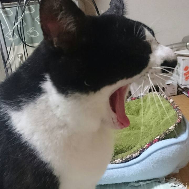 24783de9 d111 4881 ba54 f6e222e6f4df