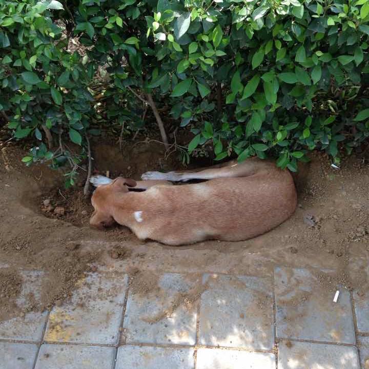 24785146 f647 4fc6 b461 a29125e63d5d