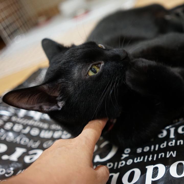 247949d1 4384 4c6e 9098 9ea7a6689d48