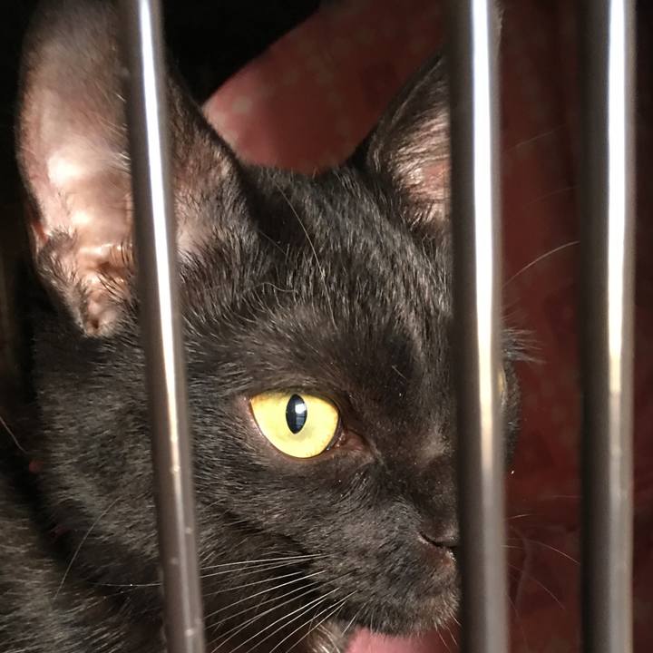 24796f41 16f8 4a59 a4ce 6ff0823c544b