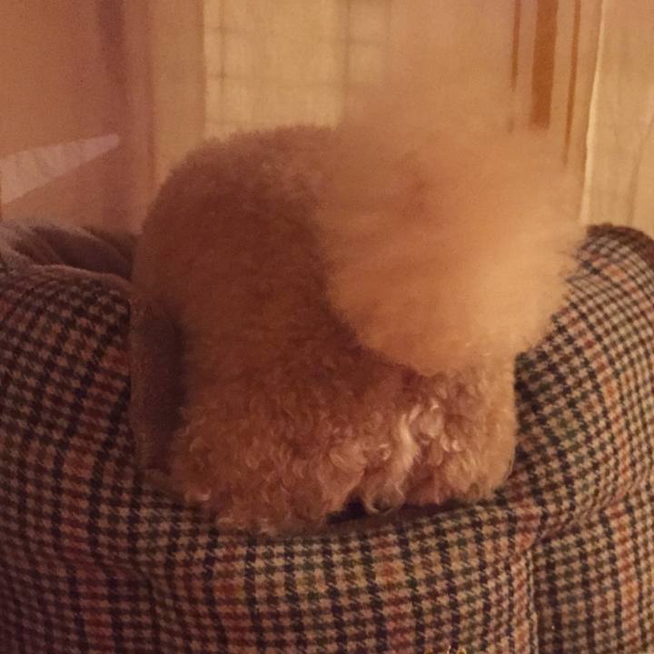 247a3f88 09c9 432b b56f 68457a371ee6