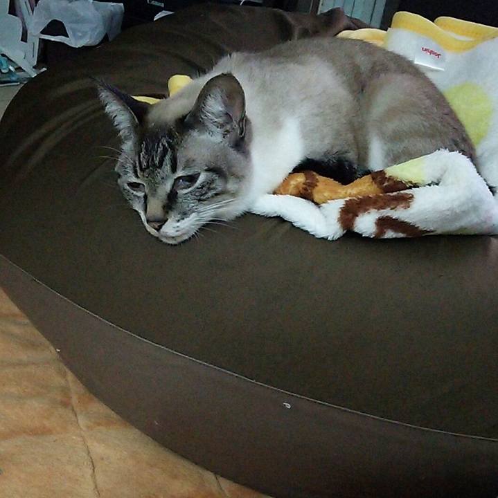 247a4be6 f815 4ab2 8c53 ed5b5c83d21c