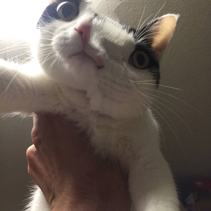 247acd0a 2c99 4e29 98fb 47f7c08eab1c