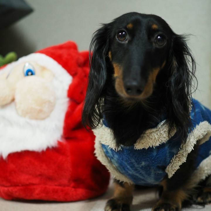 247b1620 0a55 4989 b559 534c63d3352f